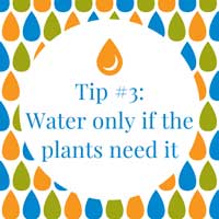 Watering tip #3