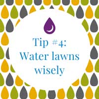 Watering tip #4