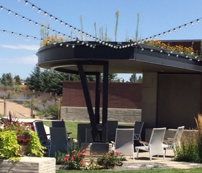 Midtown Denver green roof