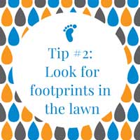 Watering tip #2