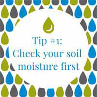 Watering tip #1