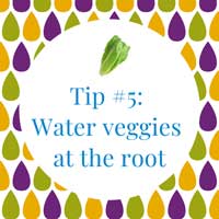 Watering tip #5