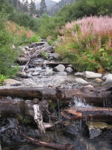 Waters of the US