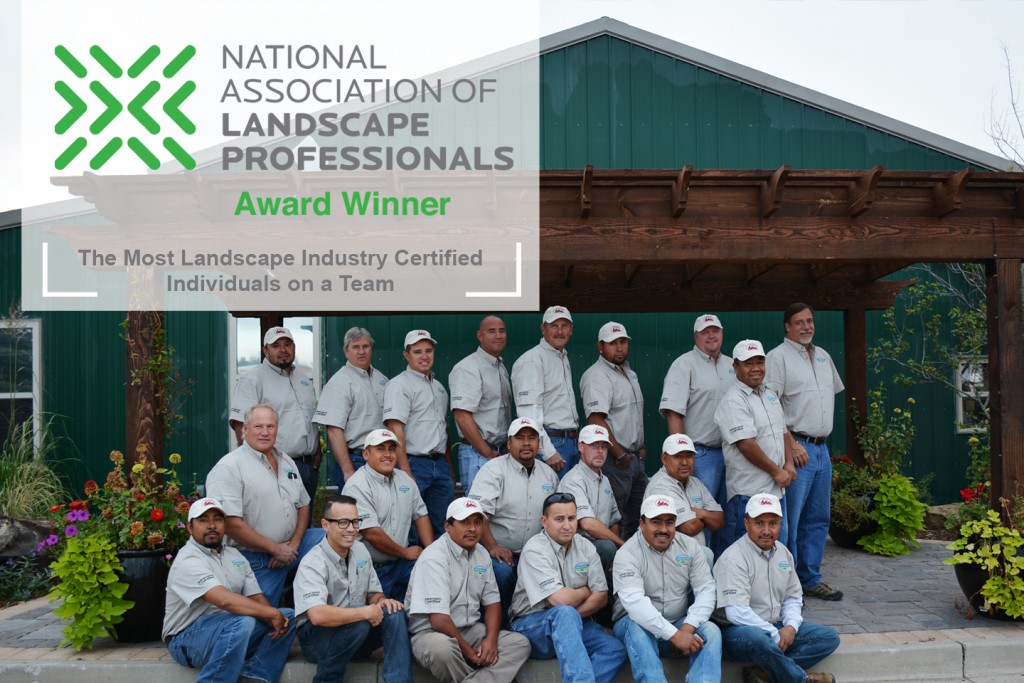 Timberline Landscaping certified team members