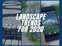2020 landscape trends