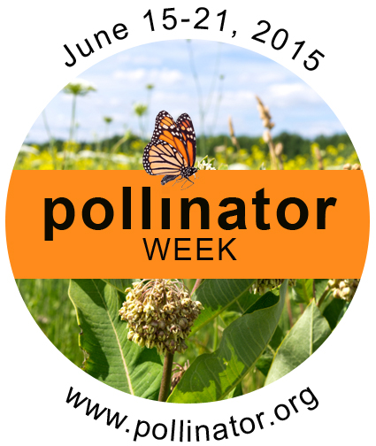 Pollinator Week