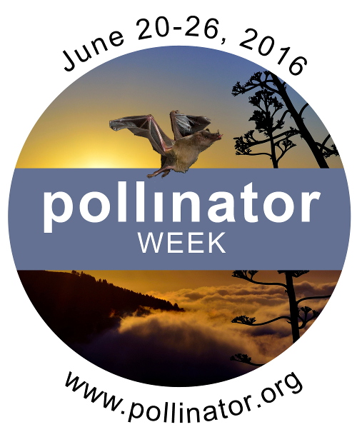 Pollinator Week 2016