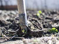 Digging dirt