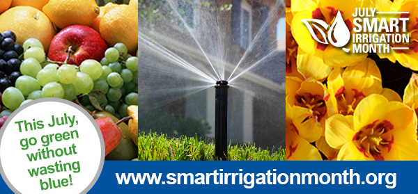 July is Smart Irrigation Month