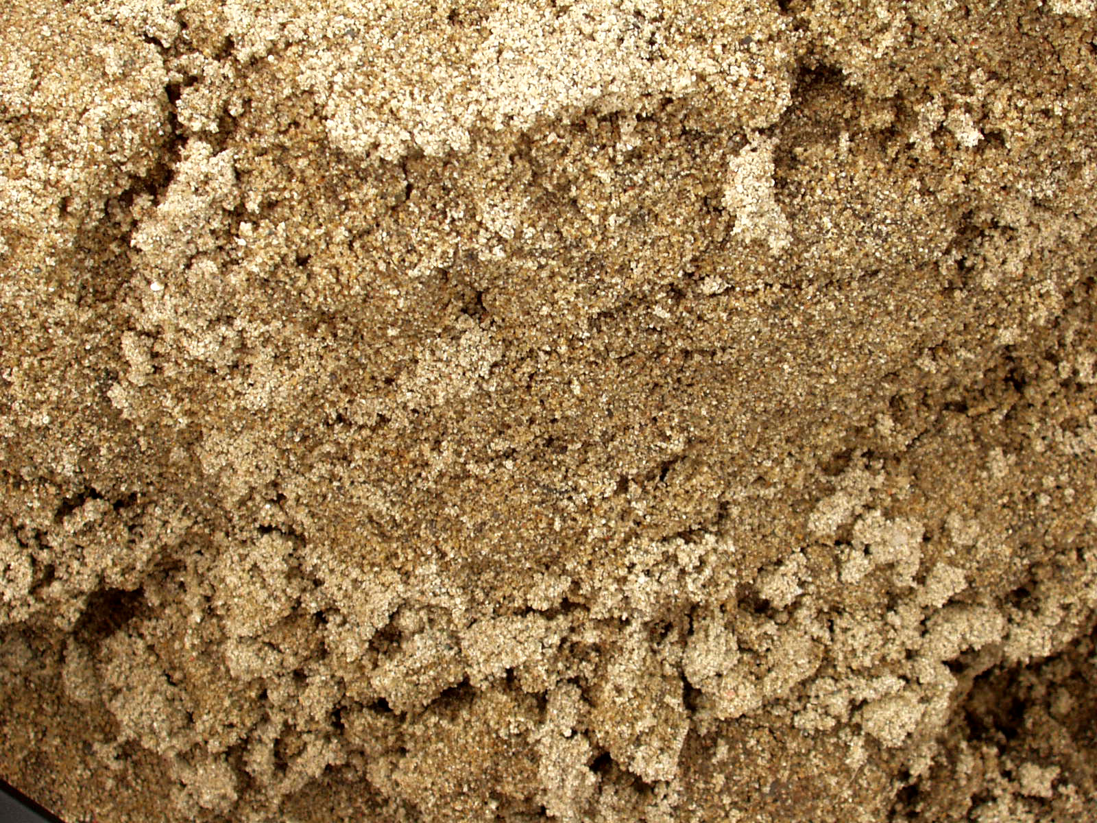 soil_pic