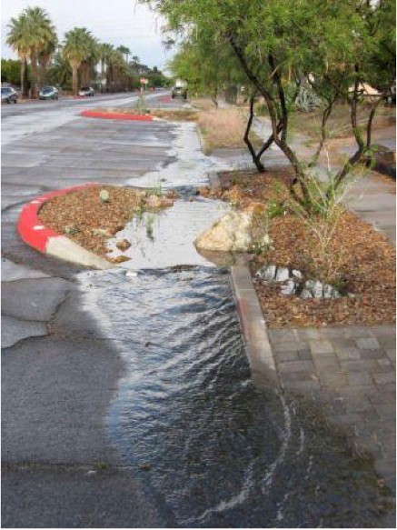 Stormwater can benefit a rain garden