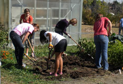 Landscape students 