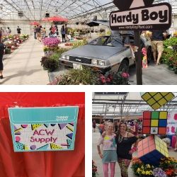 1980s at Welby Gardens flower trials