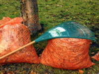 Bagged leaves ready for pickup